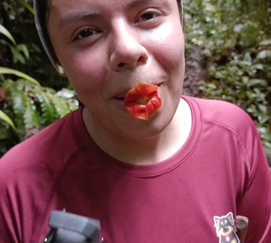 Piedra Piedra Lodge主图