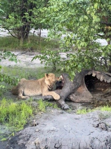 Embrace Safaris-马翁必去景点