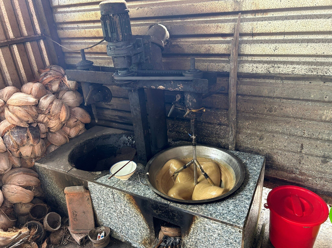 Mr. BikerBentre-Ben Tre必去景点