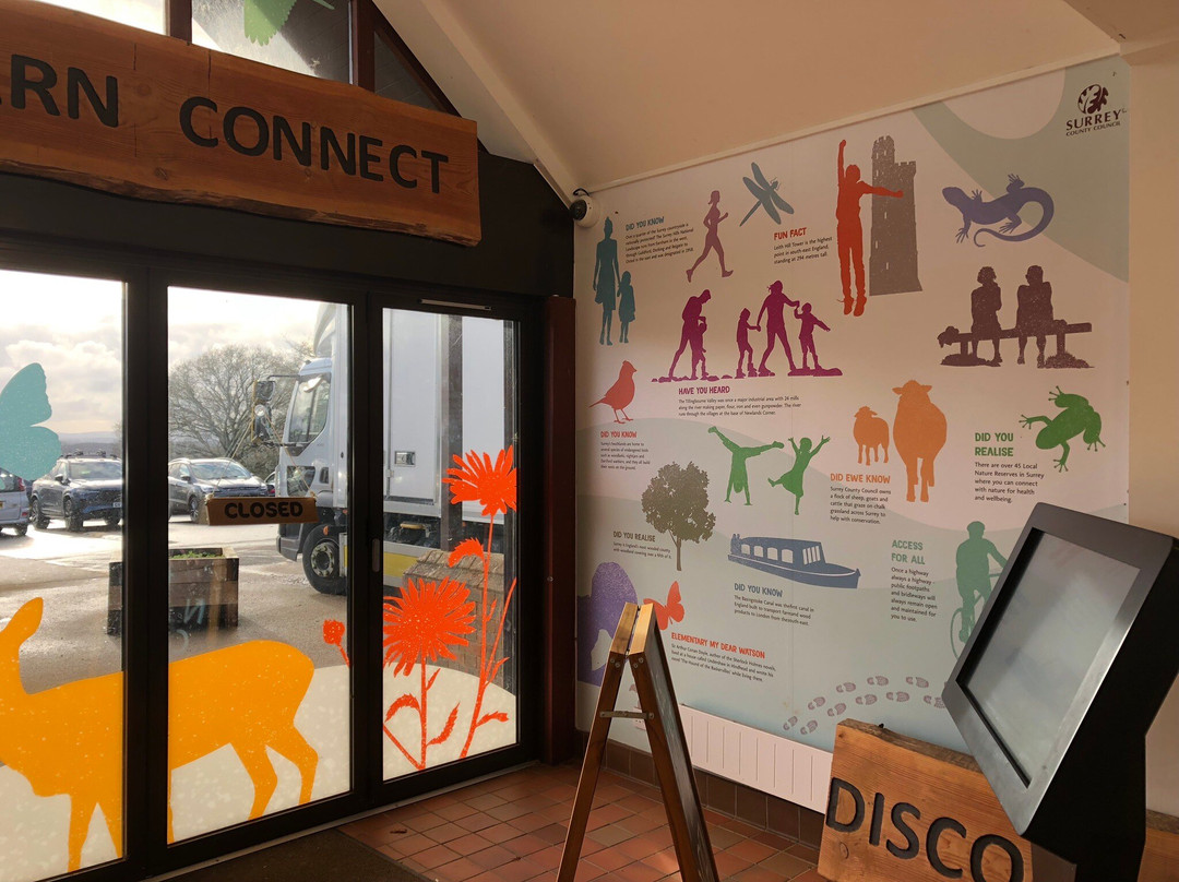 Newlands Corner-Shere必去景点