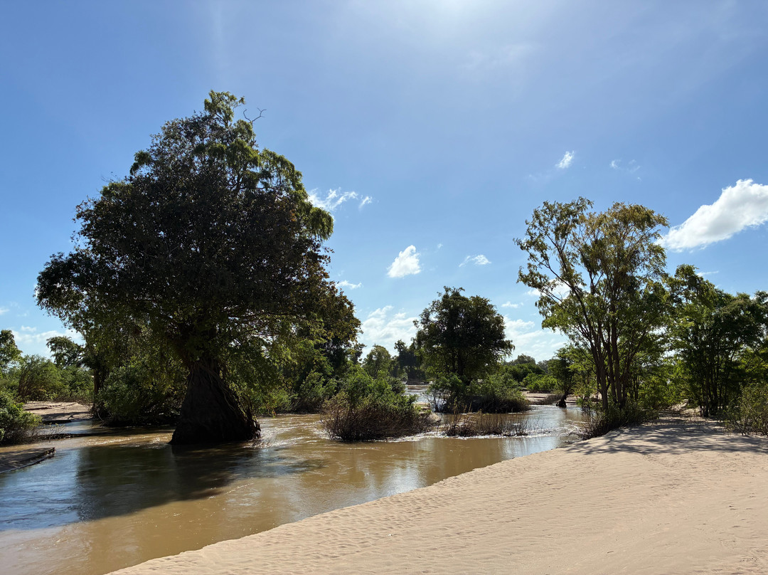 Dolphin Kayaking Adventures-Kratie必去景点