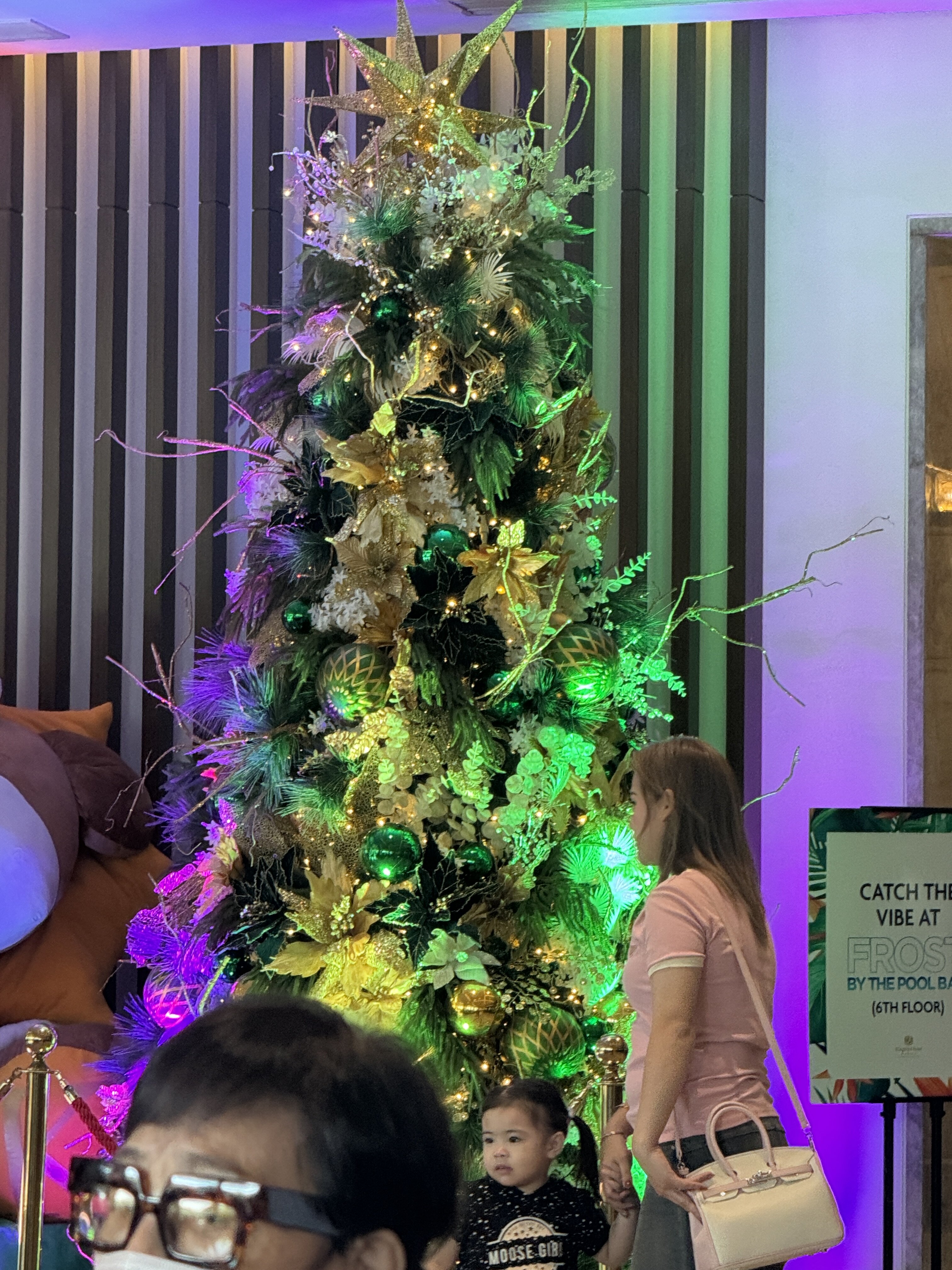 Kingsford Hotel Manila-官方