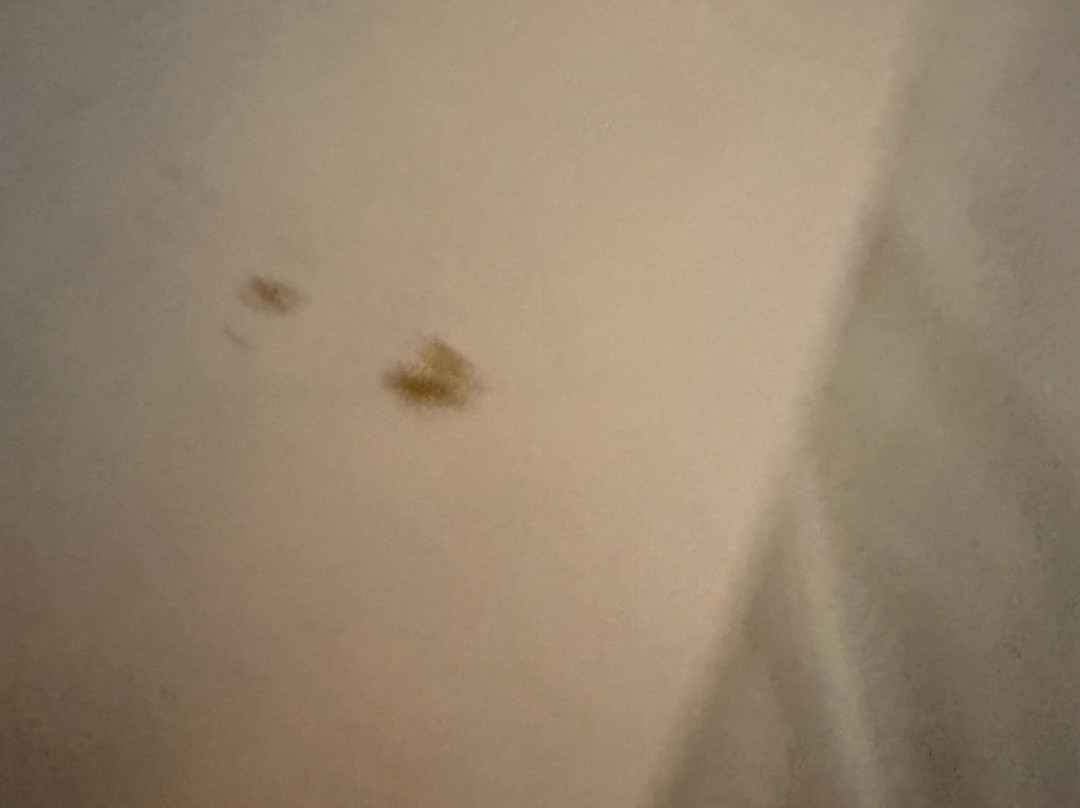 Travelodge Sheffield Meadowhall Hotel主图