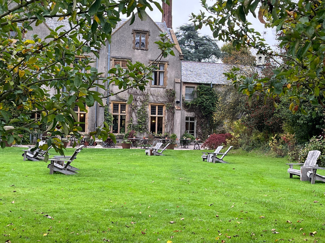 THE PIG - at Combe主图