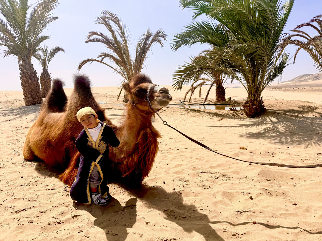 Dromedarius-伊卡必去景点