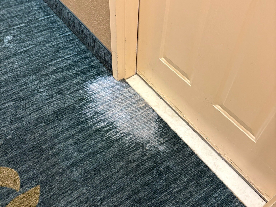 威奇托东北蜡木套房酒店主图