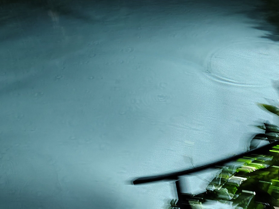 Diego Tour Jalapão-Ponte Alta do Tocantins必去景点