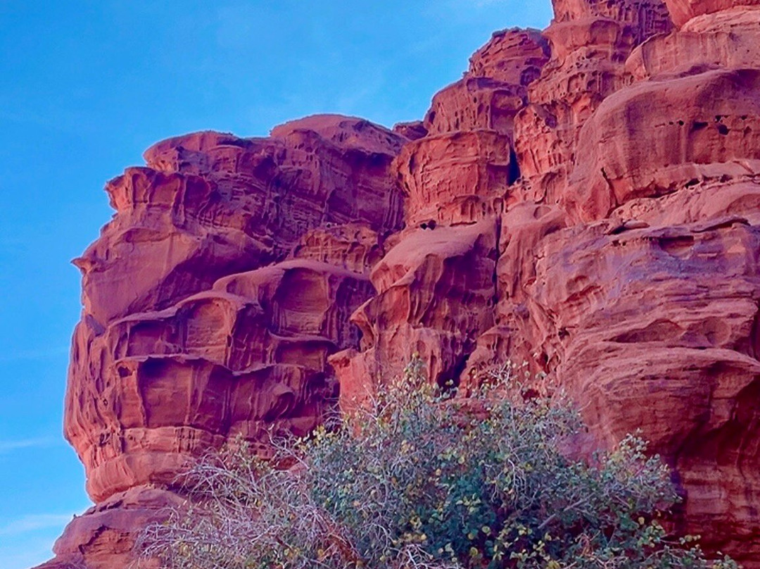 Wadi Rum Nomads-Wadi Rum Village必去景点
