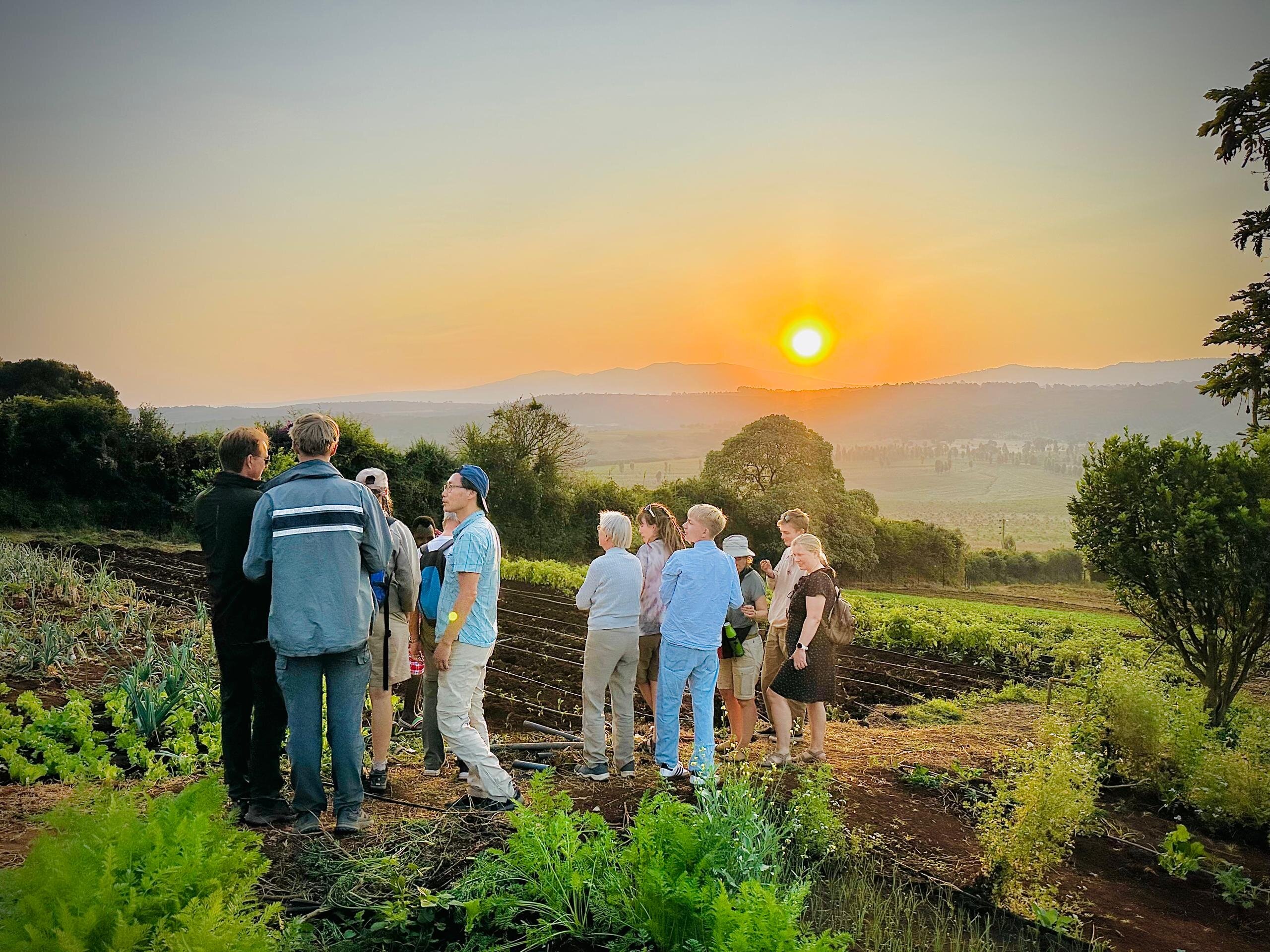 Highview Hotel-官方