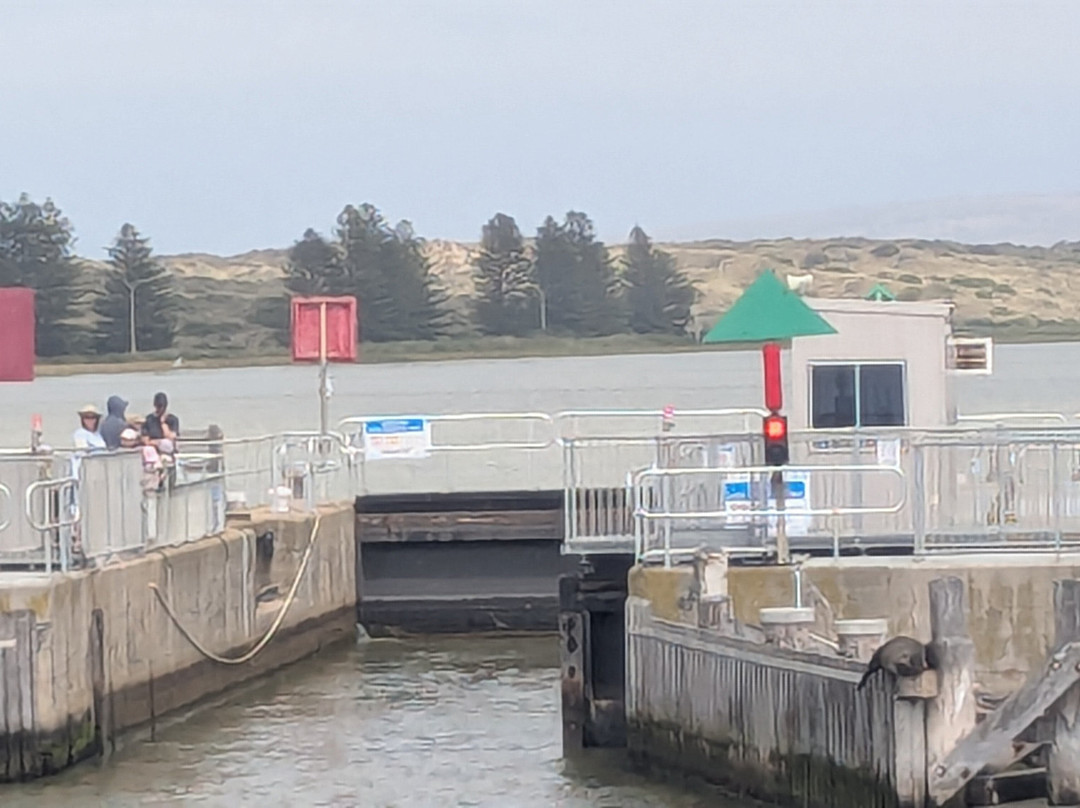 Spirit of the Coorong Cruises-Goolwa必去景点