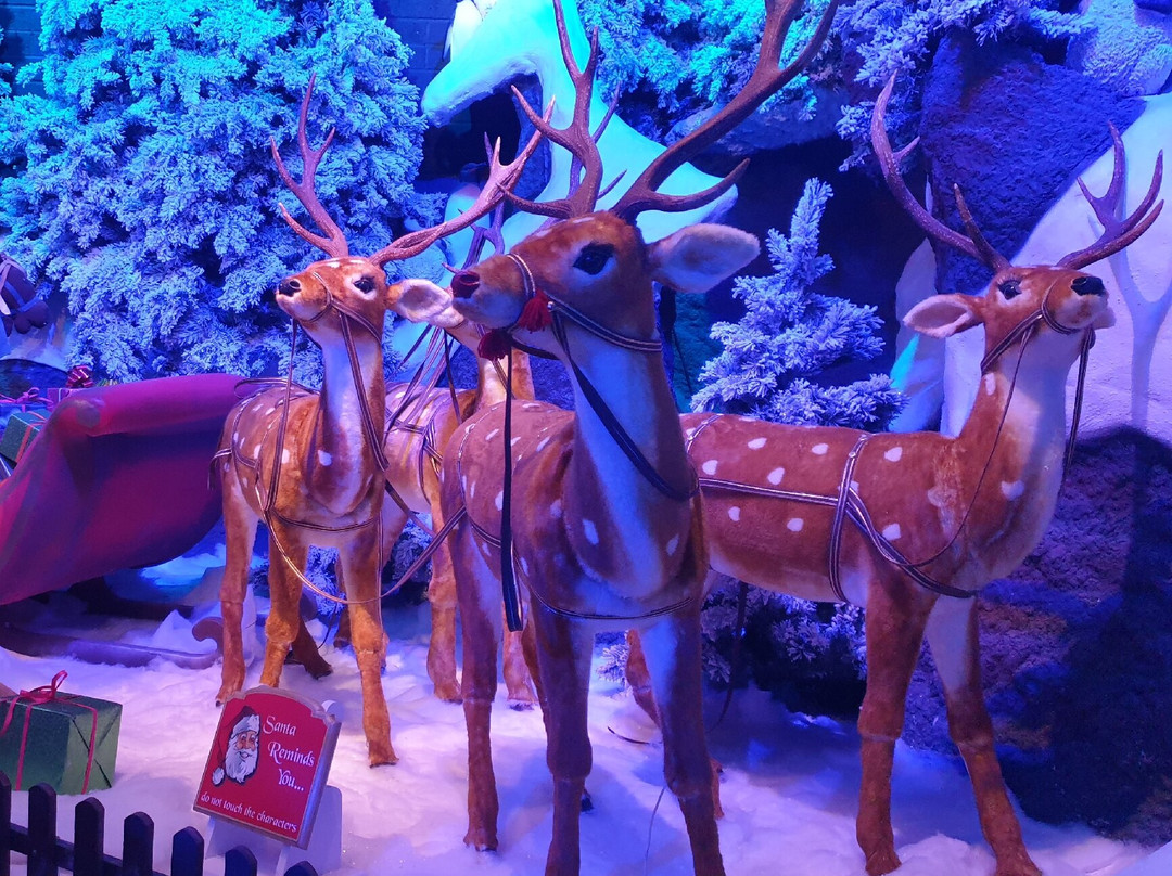 Thursford Christmas Spectacular-Thursford必去景点