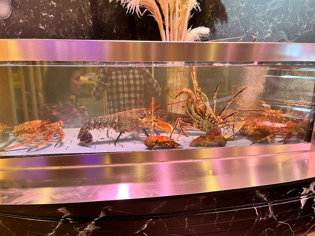 Il Posto Giusto Di Aversa