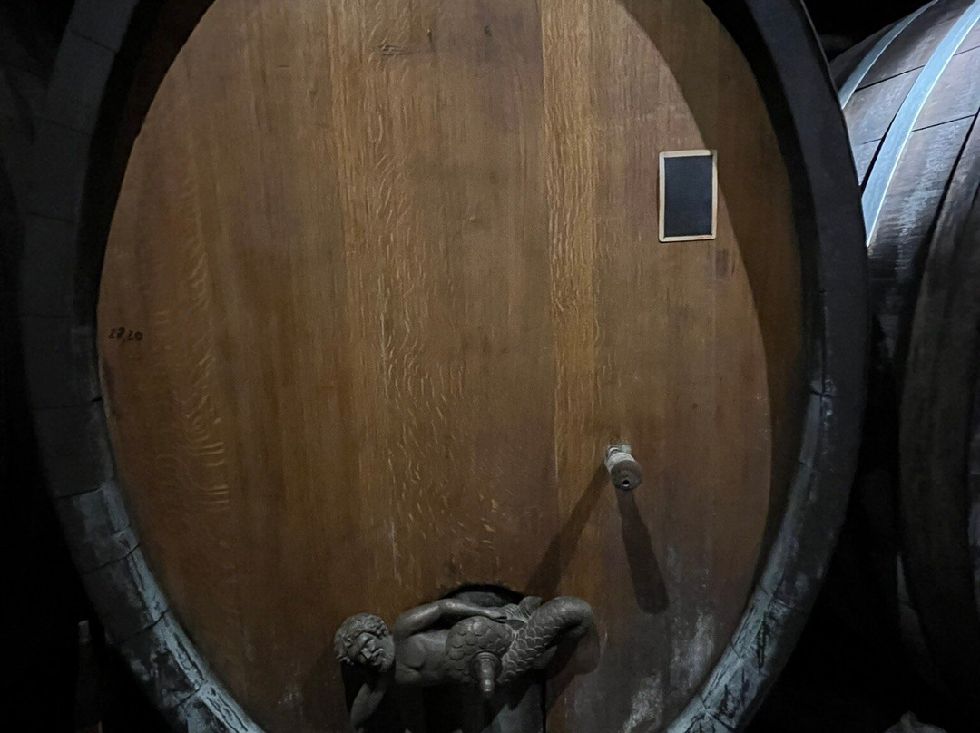 Domaine Albert Seltz-米特贝汉必去景点