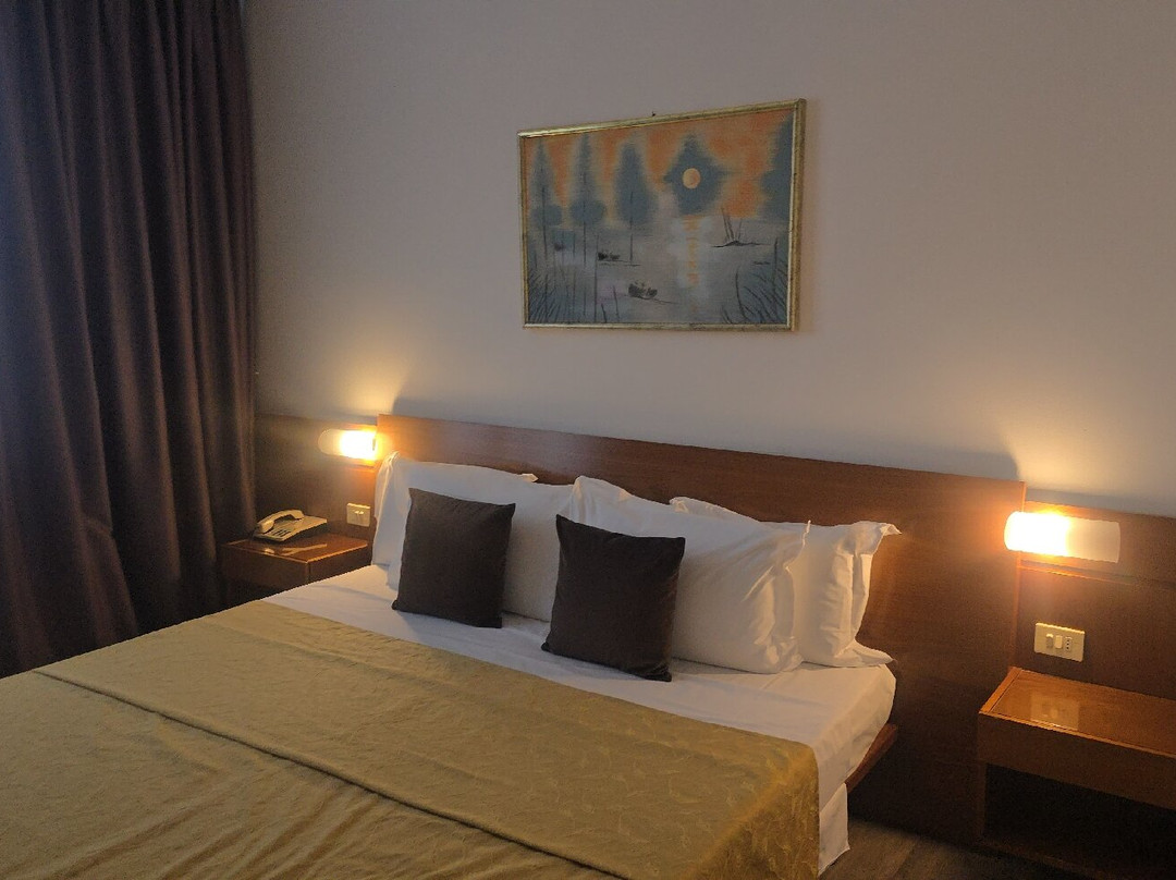 克里斯塔尔酒店主图