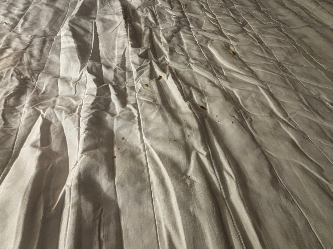 霍普金斯维尔费尔菲尔德旅馆&套房酒店主图