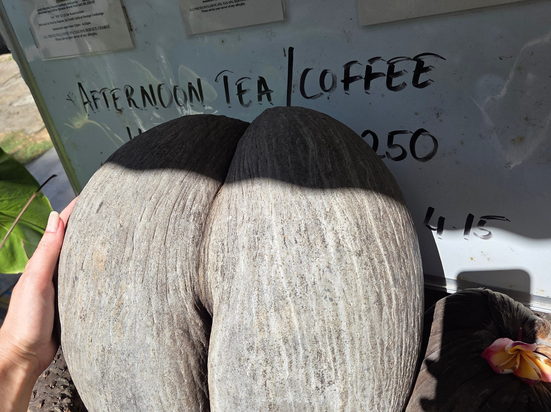 Le Jardin Du Roi Spice Garden-马埃岛必去景点