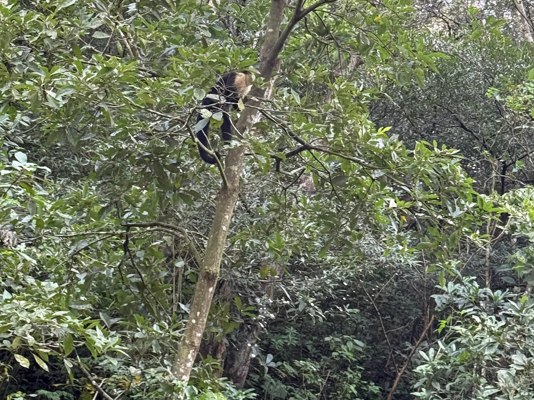 Matt's Fishing & Tours-萨迪纳尔必去景点