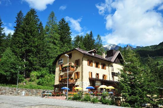 Hotel Alpen主图