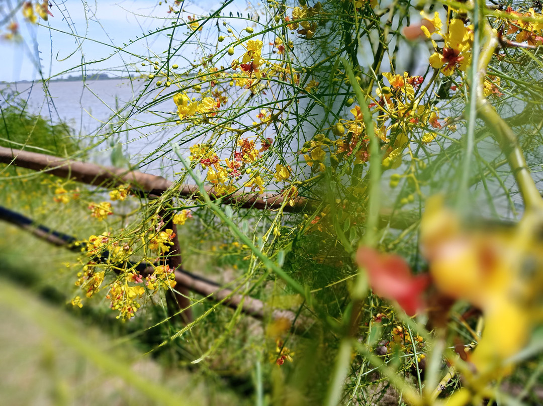 Parque Los Robles-Moreno必去景点