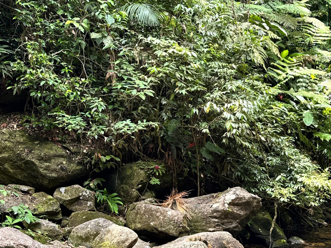 Smart Hotel Reserva Camburi主图