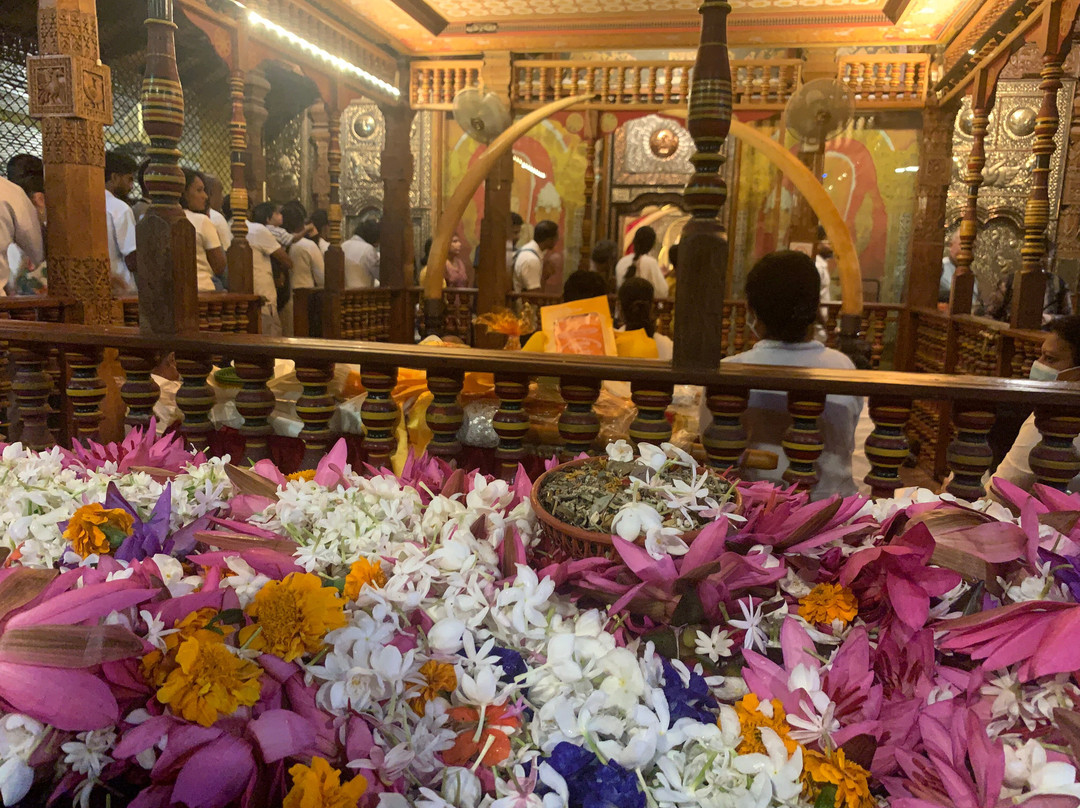 Ceylenese-科伦坡必去景点