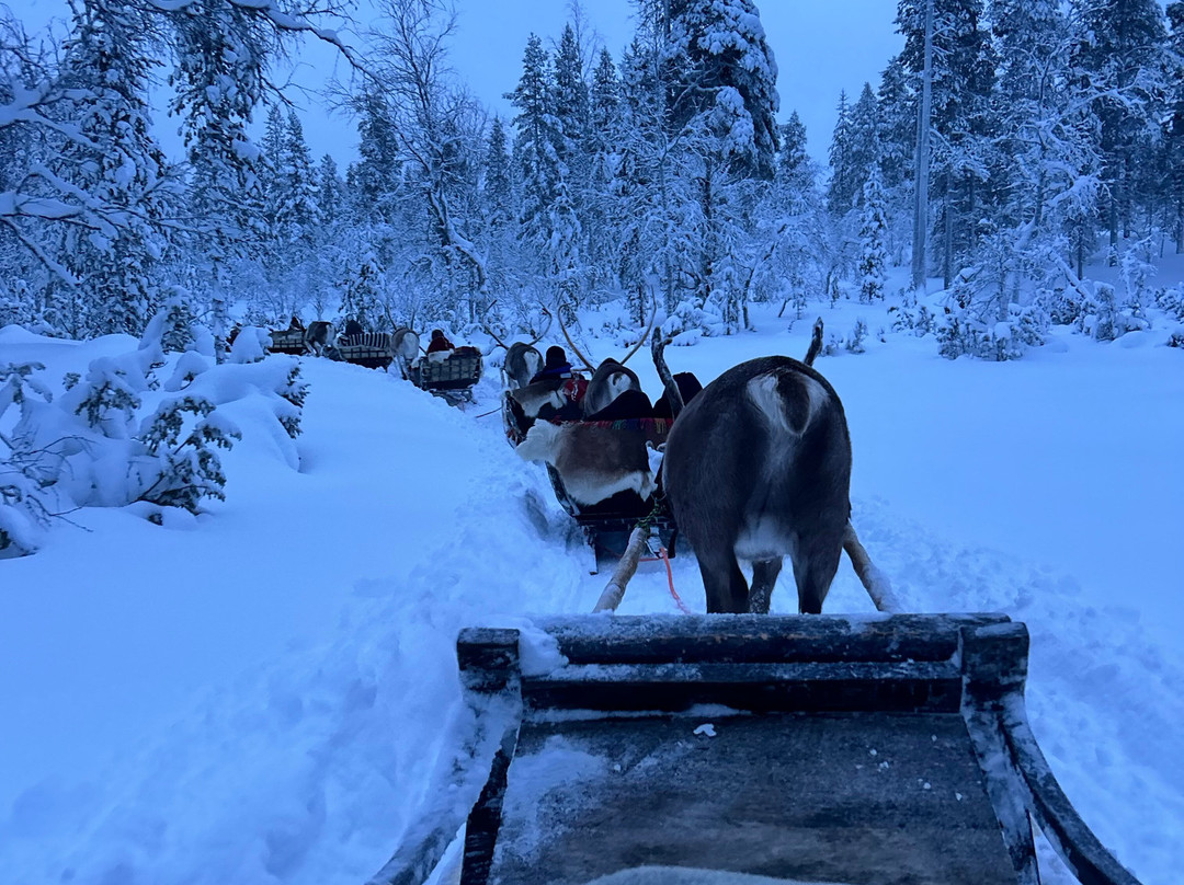 Saariselka Reindeer Farm-撒利塞卡必去景点