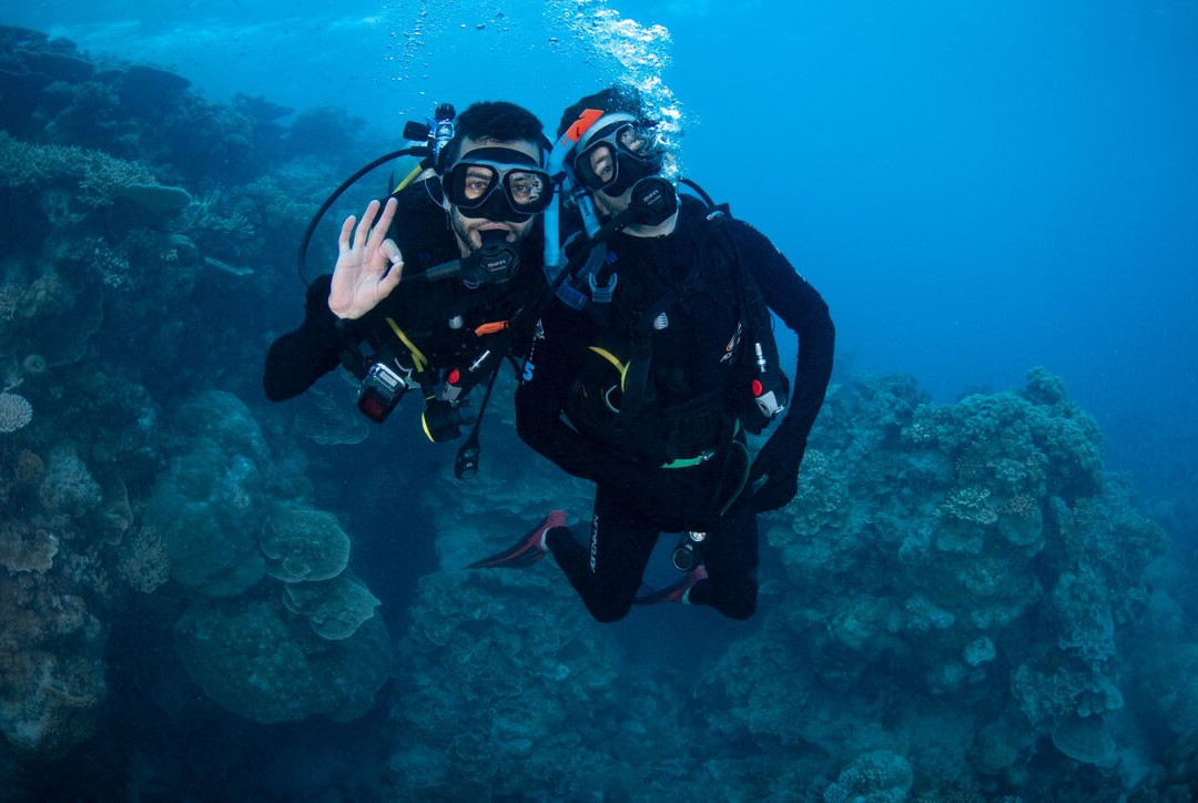 Reef Encounter-凯恩斯必去景点