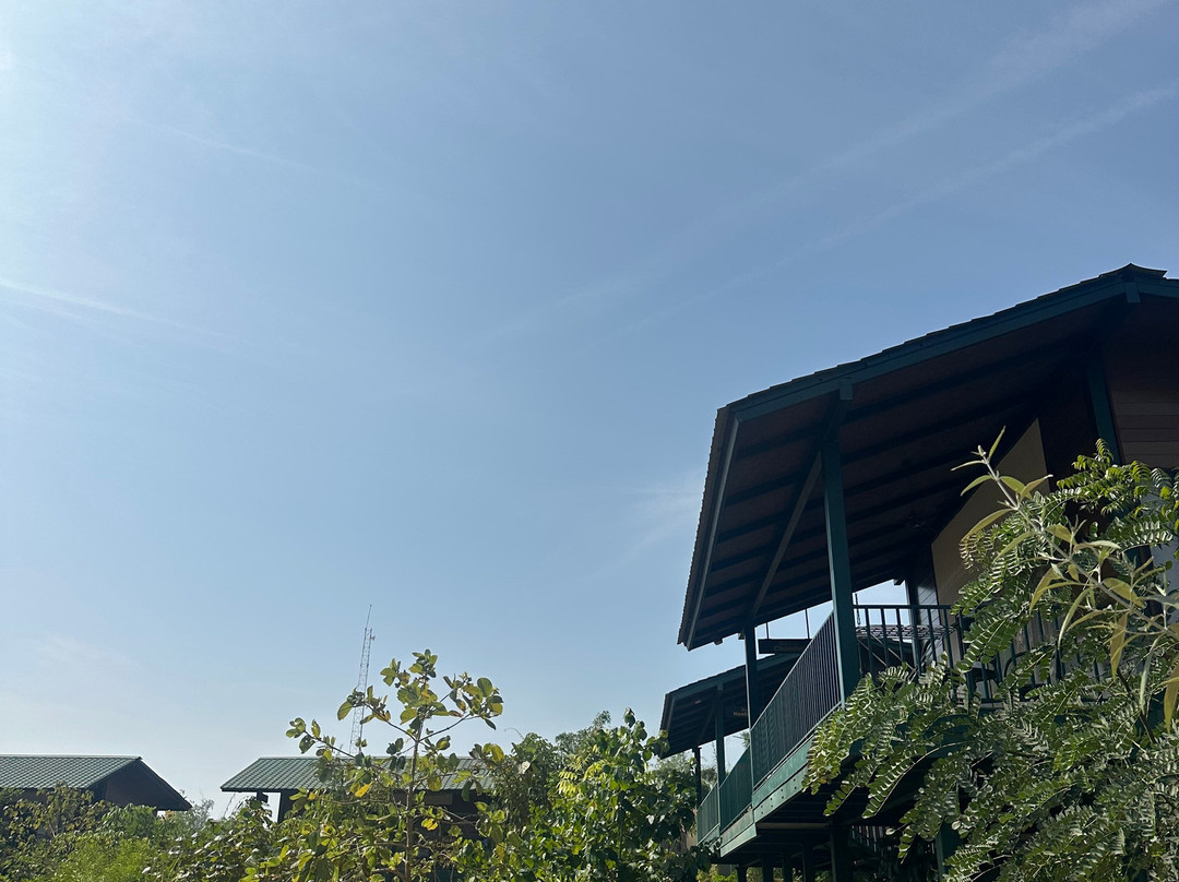 Tathastu Tadoba主图