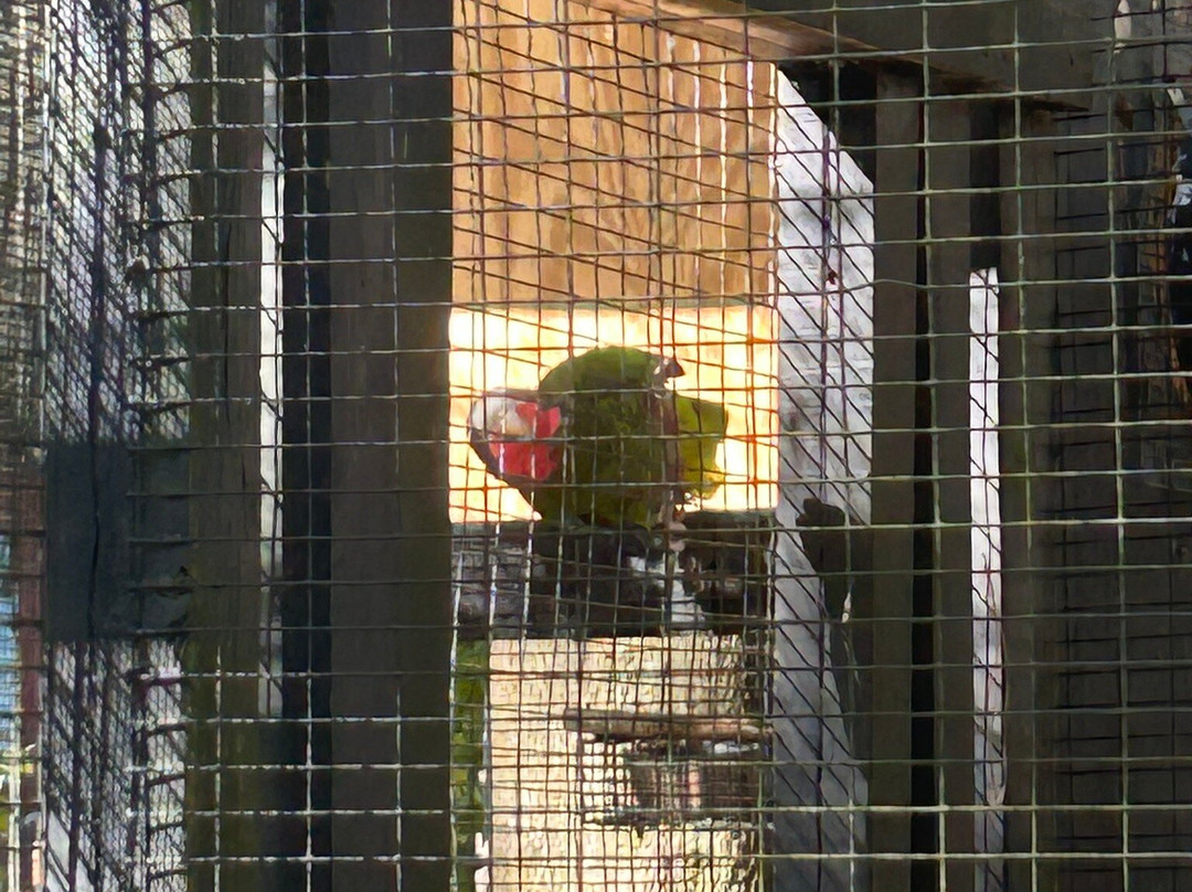 Santa Fe College Teaching Zoo-盖恩斯维尔必去景点