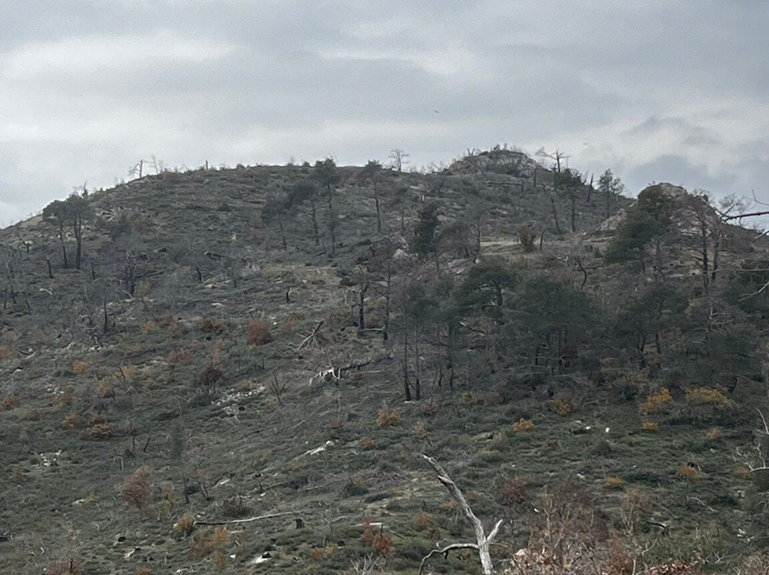 Dadia-Lefkimi-Soufli Forest National Park-Dadia必去景点