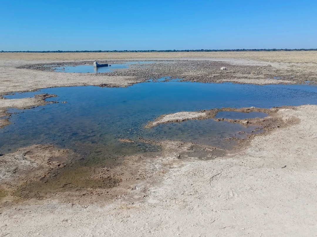 Khutse Game Reserve-嘉伯隆里必去景点
