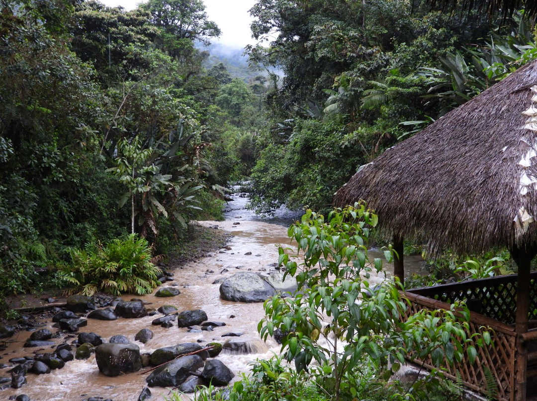 Maquipucuna Reserve-基多必去景点