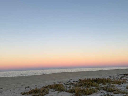 Buena Vista Oceanfront & Hot Springs Resort主图