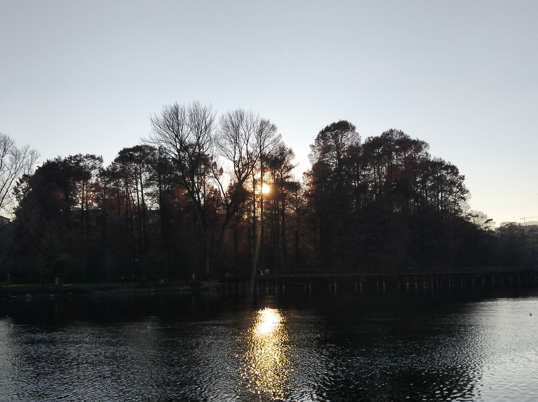 Parco dei TAXODI-Paratico必去景点