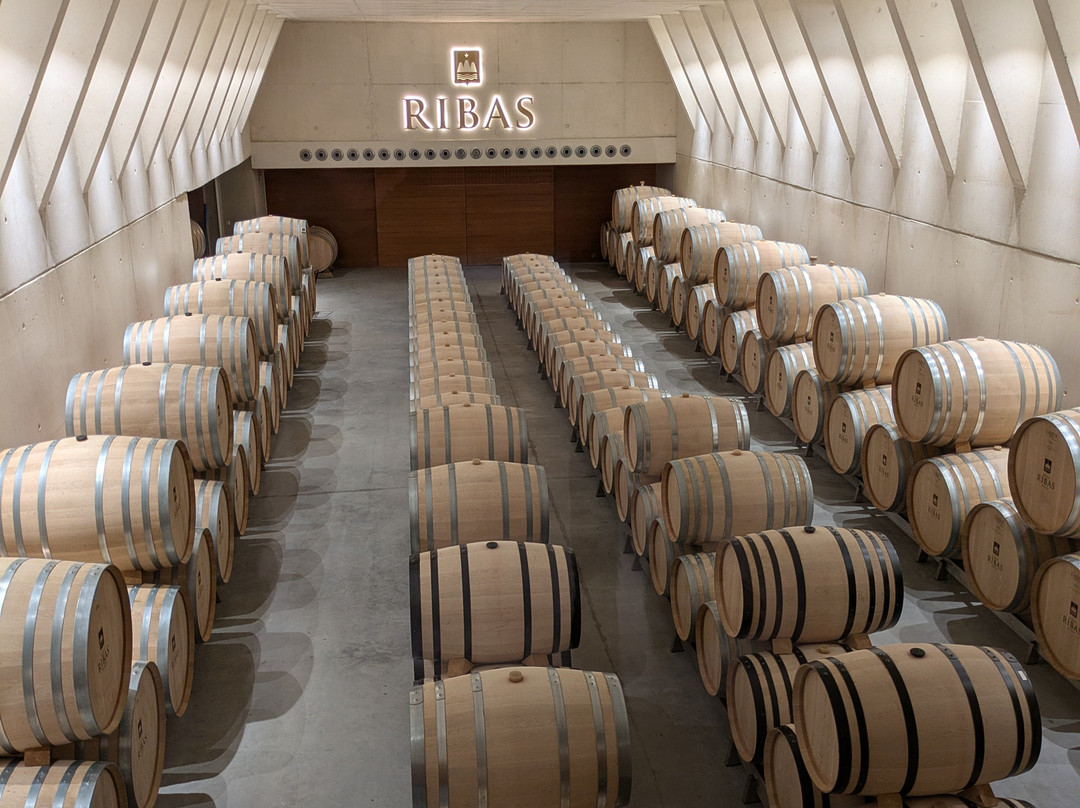 Bodega Ribas-Consell必去景点