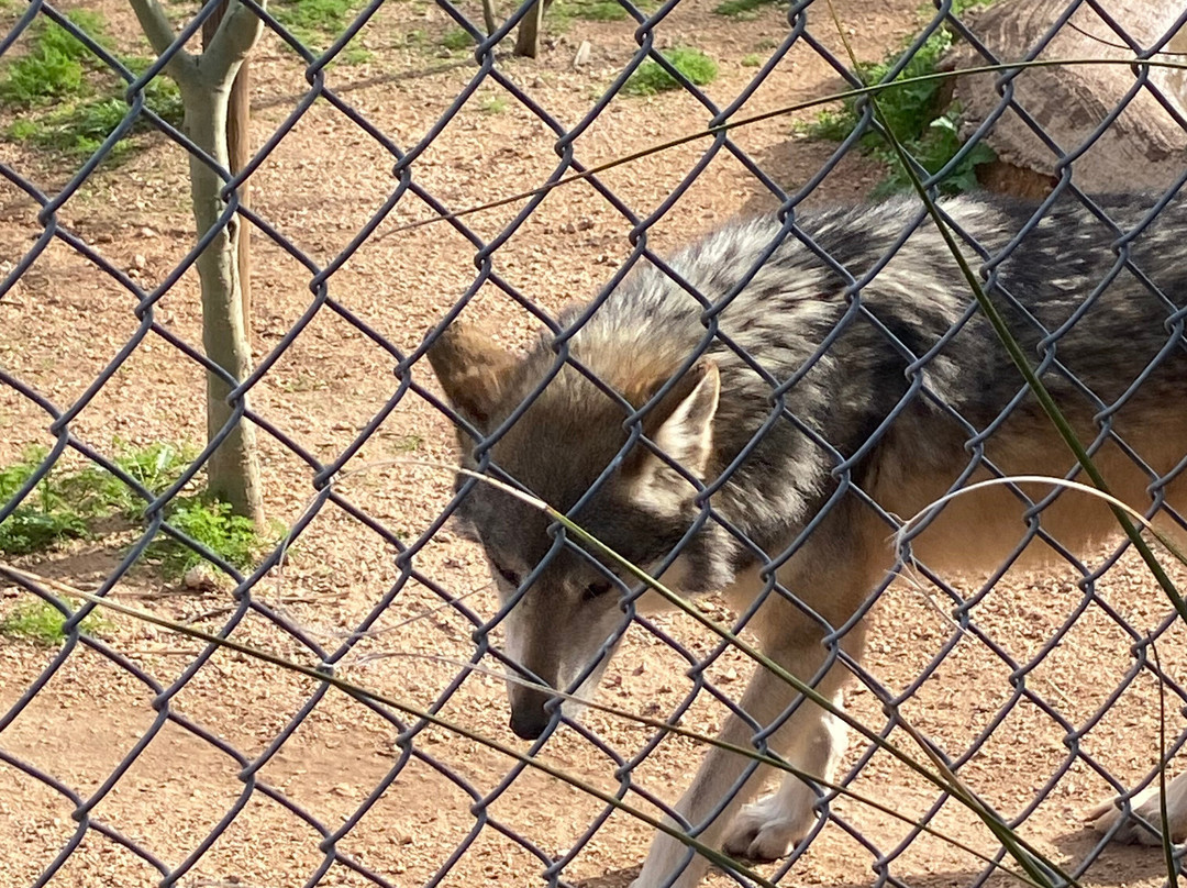 Southwest Wildlife Conservation Center-斯科茨代尔必去景点