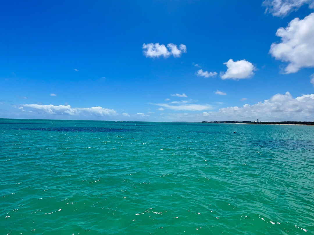 Piscinas Naturais do Seixas-Joao Pessoa必去景点
