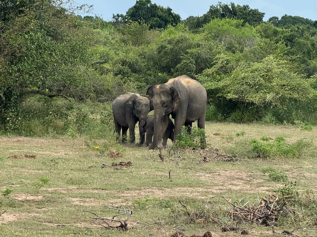 Just Travels Sri Lanka-科伦坡必去景点