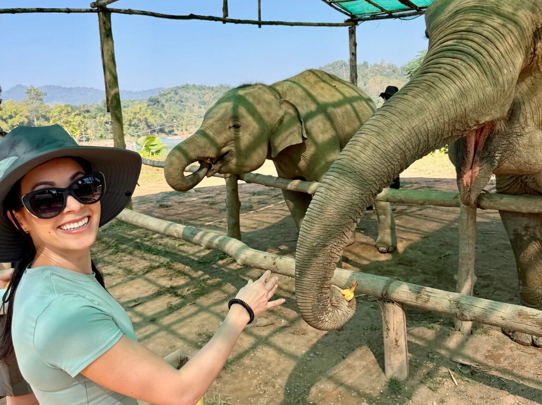 MandaLao Elephant Conservation-琅勃拉邦必去景点