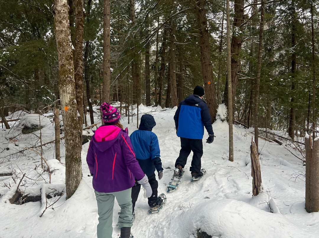 Natural Stone Bridge and Caves-Pottersville必去景点