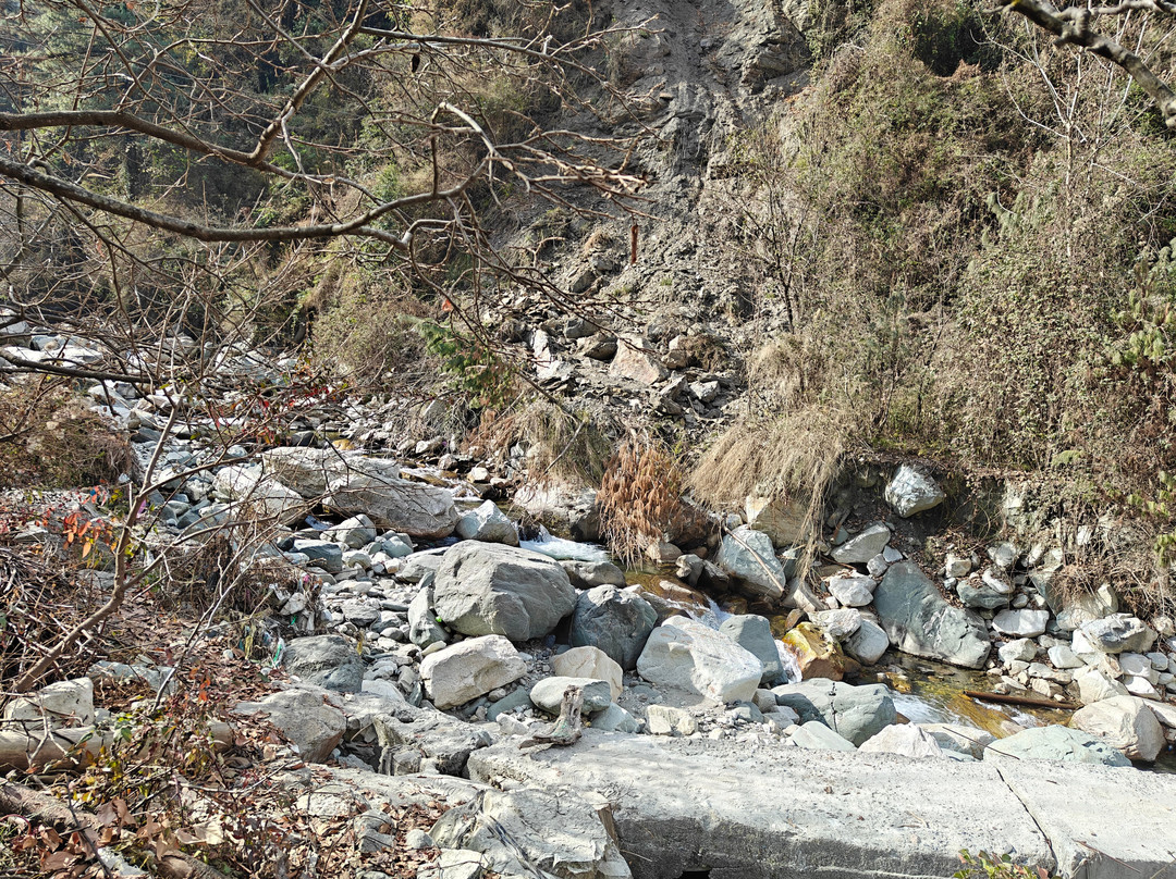 River View Homestay主图