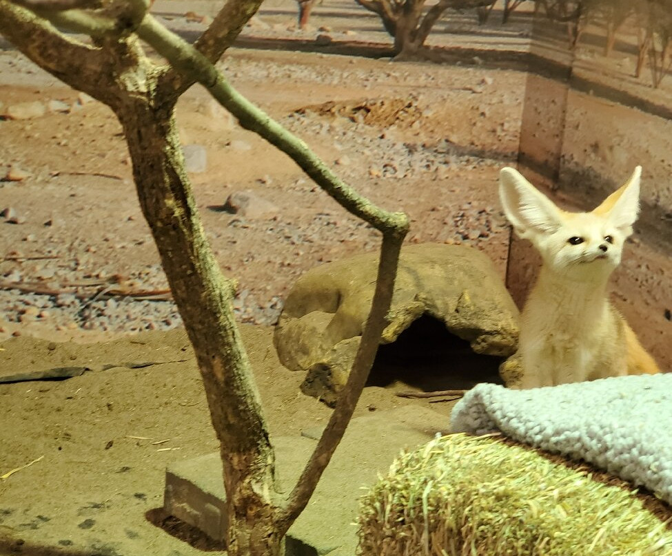 Little Ray's Nature Center-锡拉丘兹必去景点