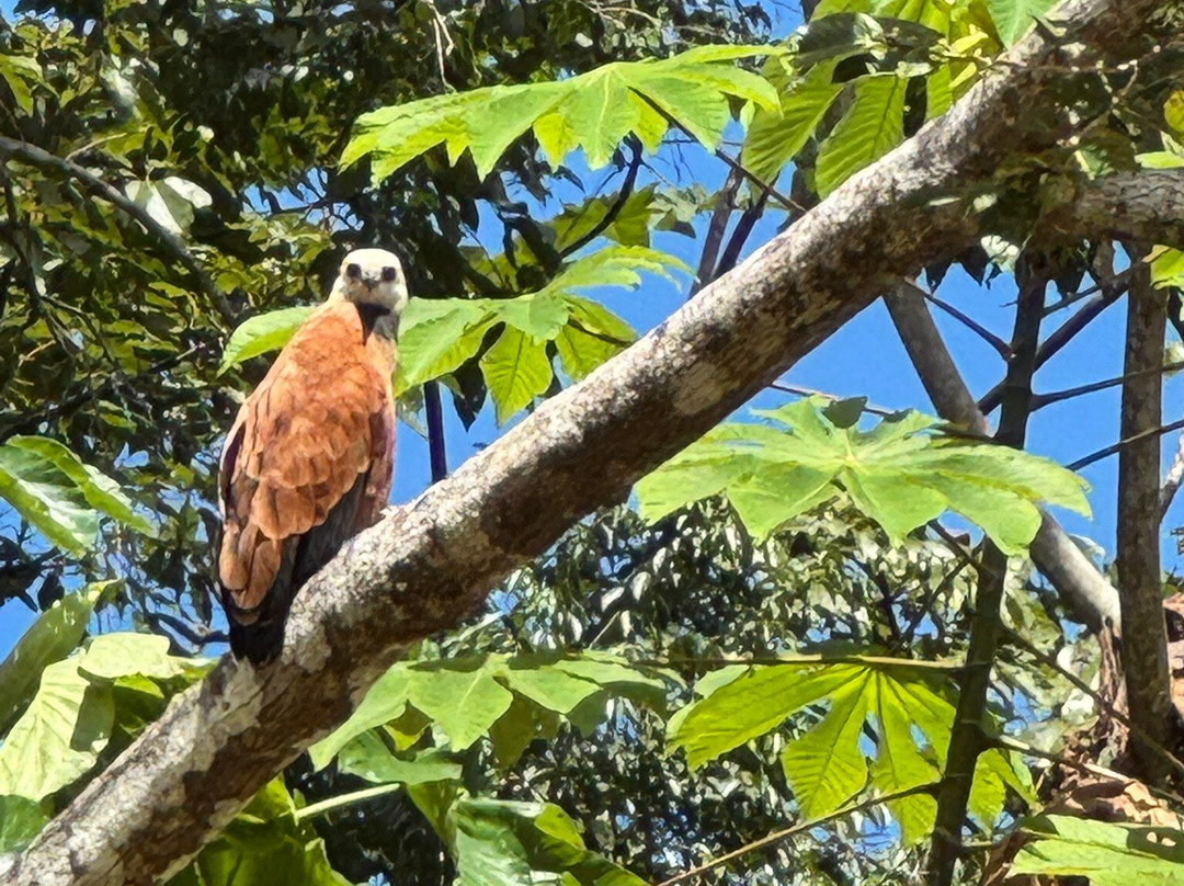 Jungle Experiences-伊基托斯必去景点