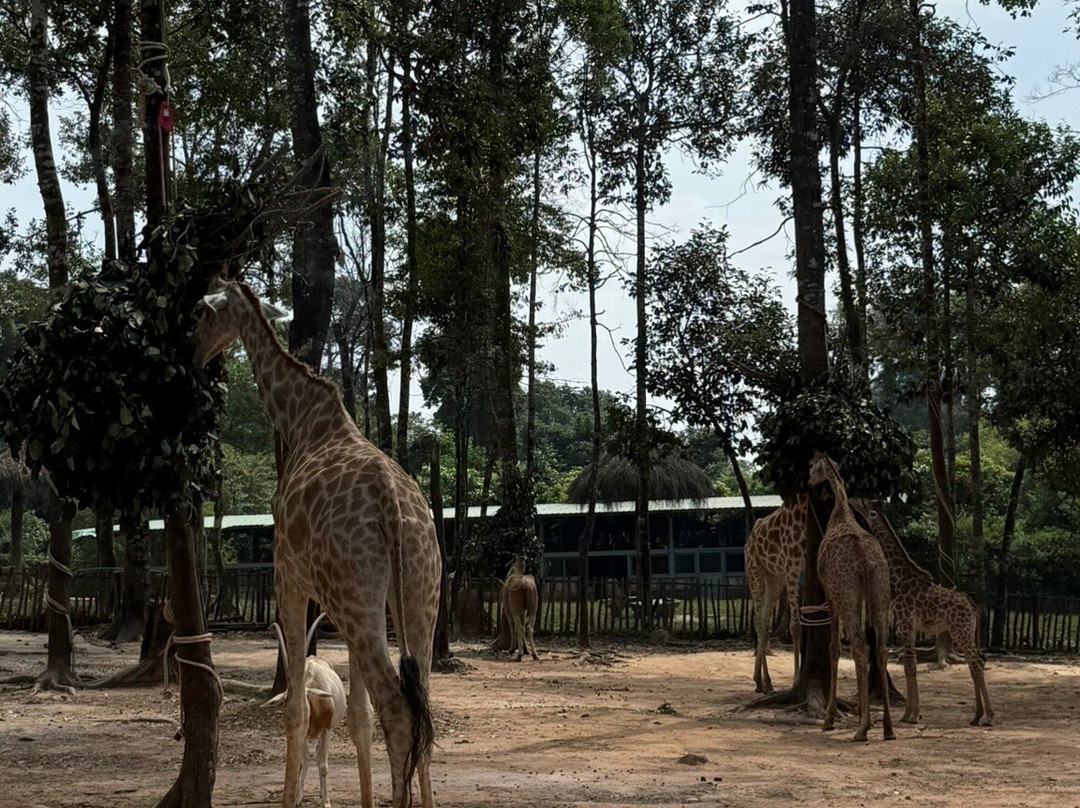 珍珠王国野生动物园-富国岛必去景点