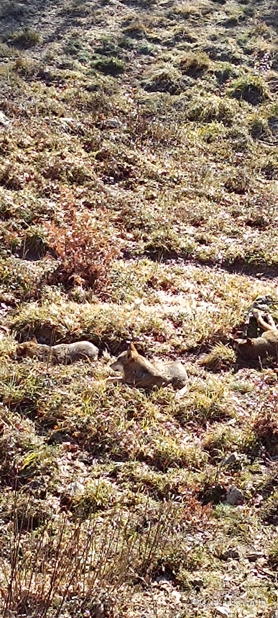 Albergo Antico Borgo la Torre-官方