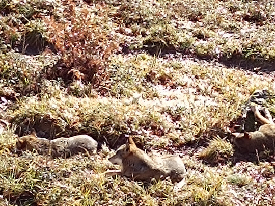 Albergo Antico Borgo la Torre主图
