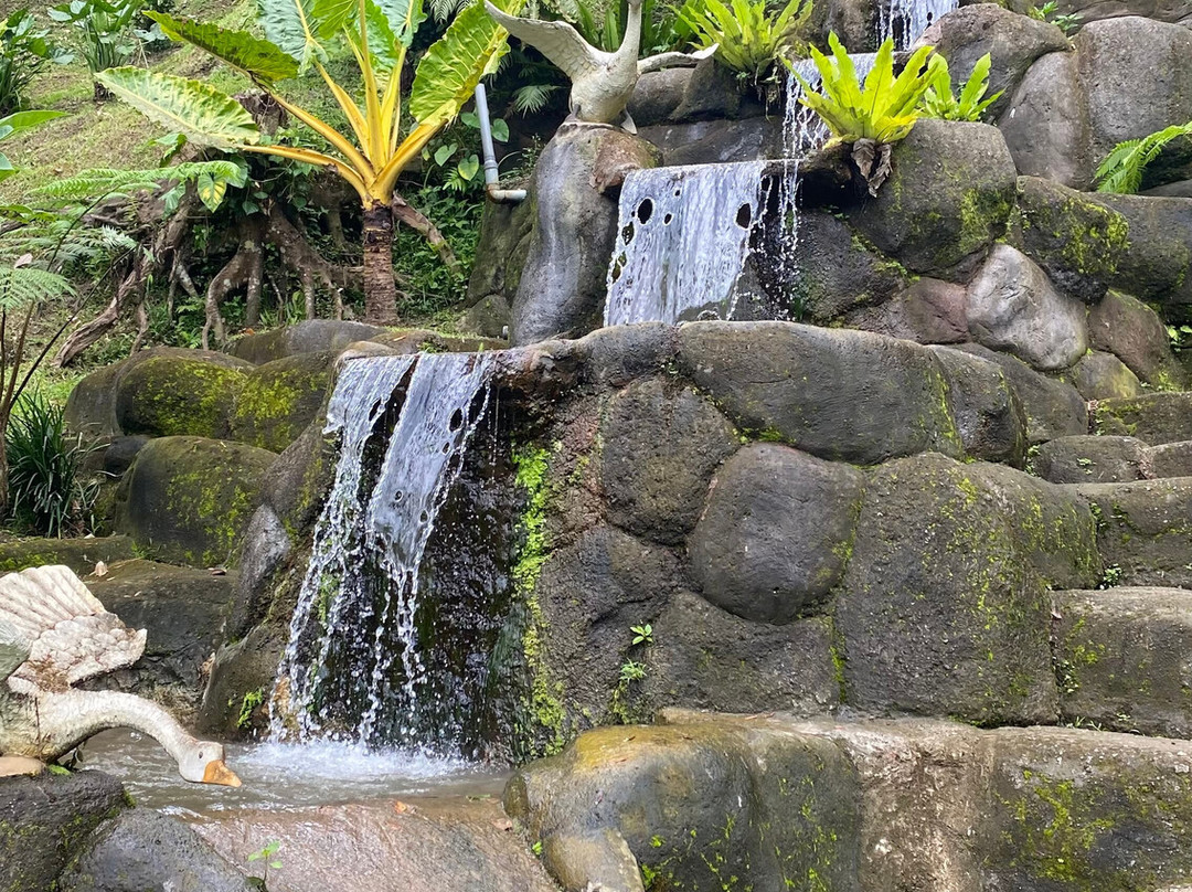 Bali Tour Buddy-乌布必去景点