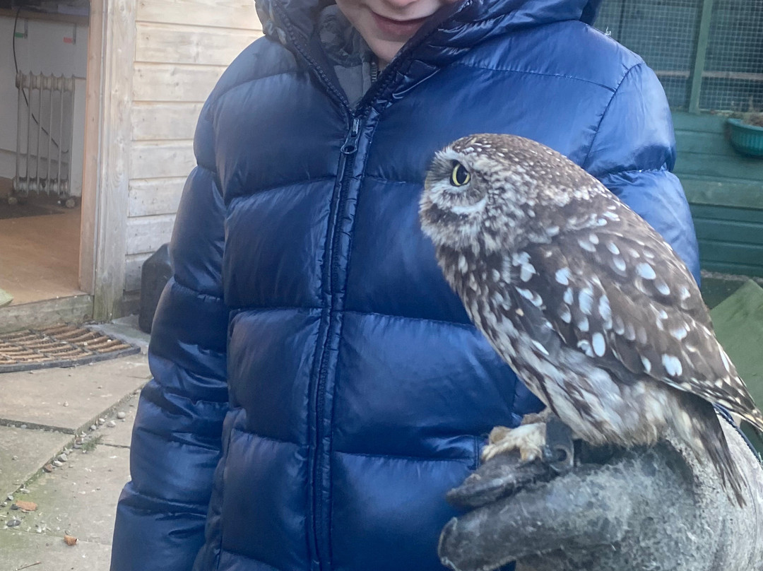 Dalhousie Castle Falconry-邦尼里格必去景点