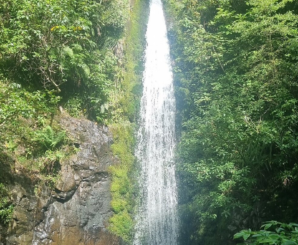 Washpen Falls-Darfield必去景点
