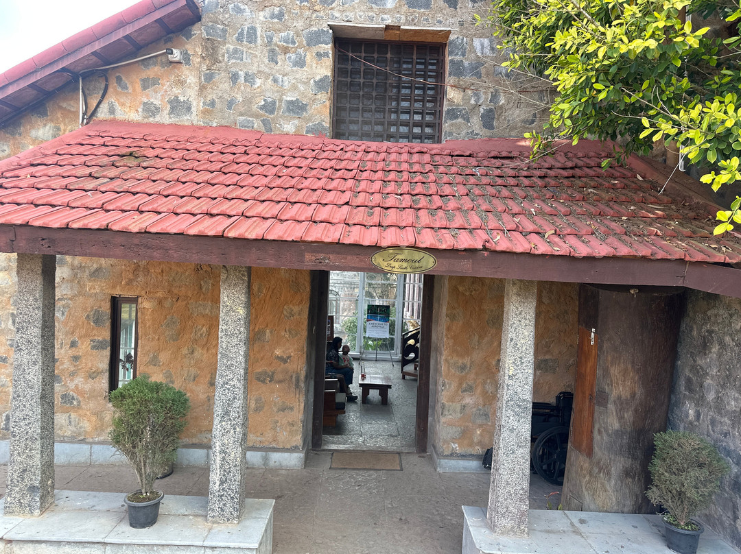 Mango Hill Yercaud主图